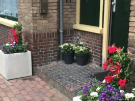 Schoolholm 26-15 foto 3